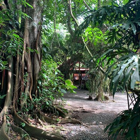 Brigitte'S Ranch Hotel Cahuita Exterior photo