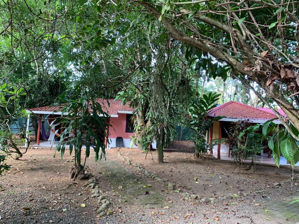 Brigitte'S Ranch Hotel Cahuita Exterior photo