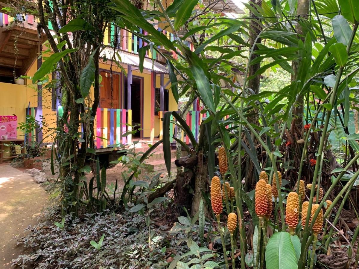 Brigitte'S Ranch Hotel Cahuita Exterior photo