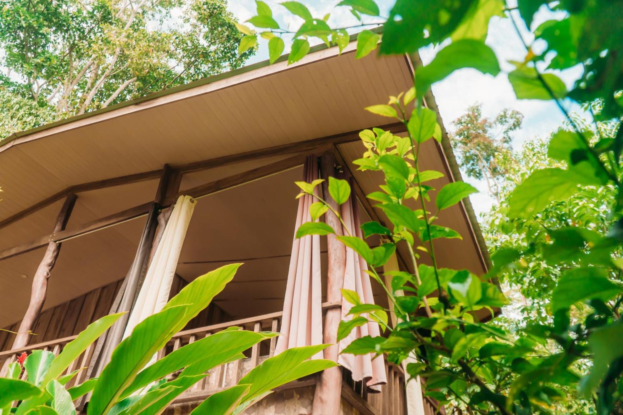 Brigitte'S Ranch Hotel Cahuita Exterior photo