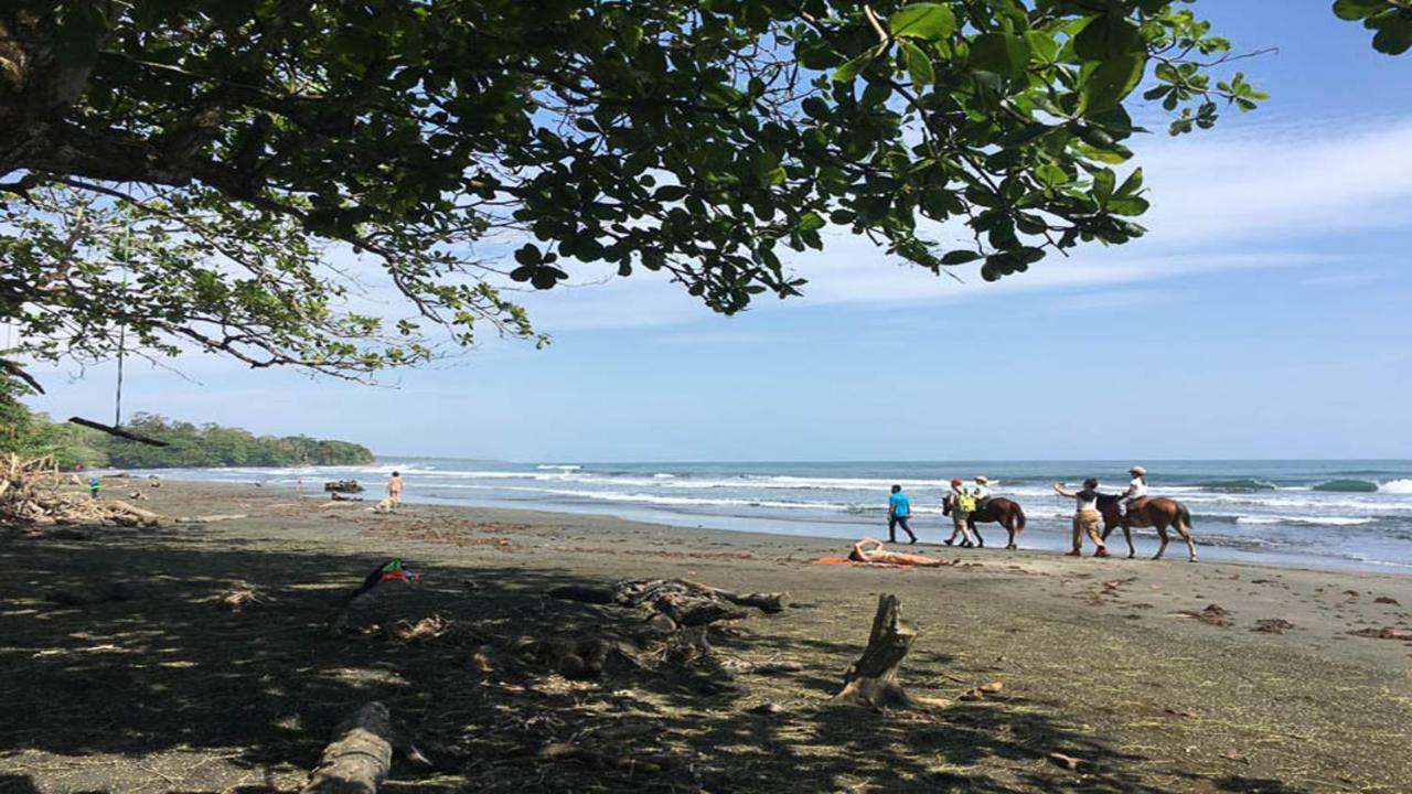 Brigitte'S Ranch Hotel Cahuita Exterior photo